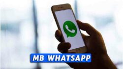 MB WhatsApp Apk