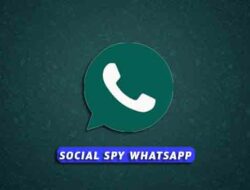 Social Spy WhatsApp : Kelemahan & Cara Menggunakannya Terbaru 2022