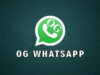 Download OG WhatsApp ( OG WA ) Pro Mod Apk Untuk iOS Dan Android